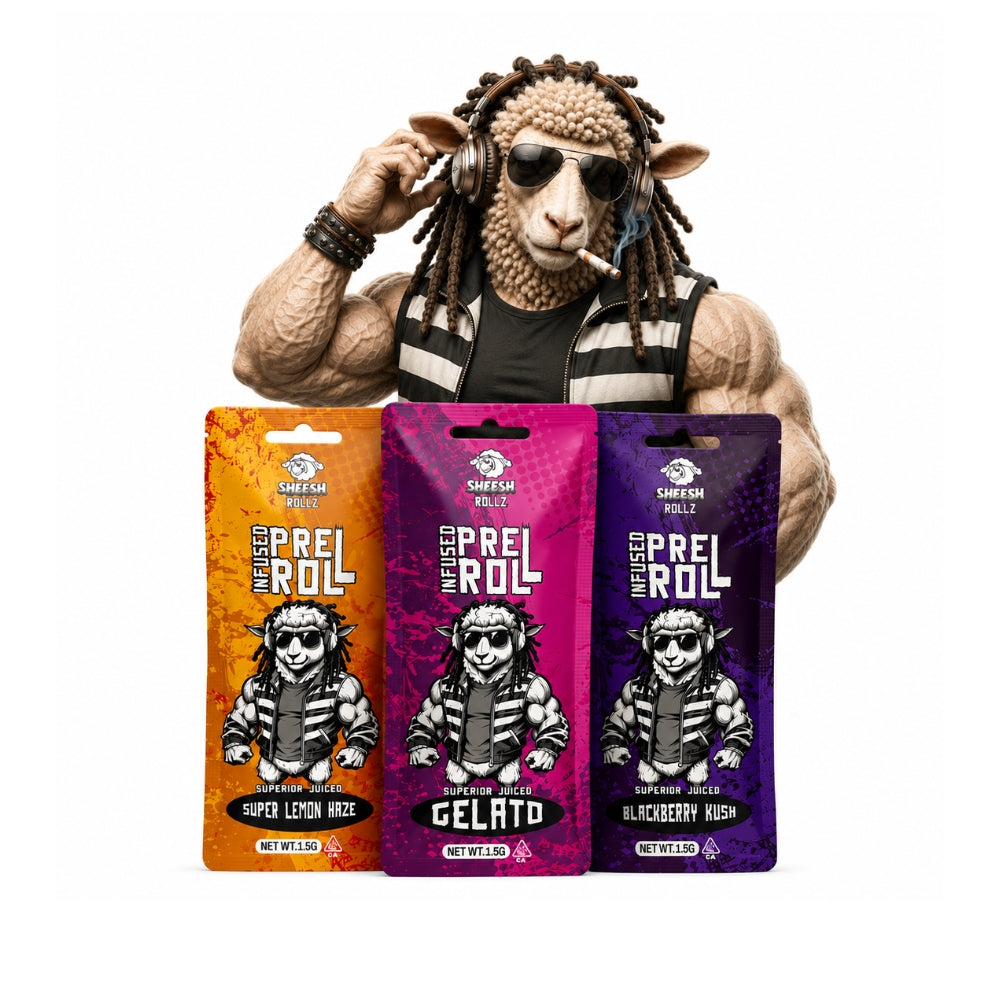 Sheesh Rollz Welcome Bundle - bubatzlegal24